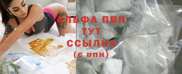 эйфоретик Беломорск