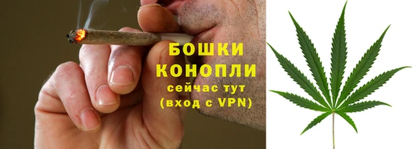 эйфоретик Беломорск