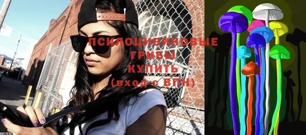 кокс Белокуриха