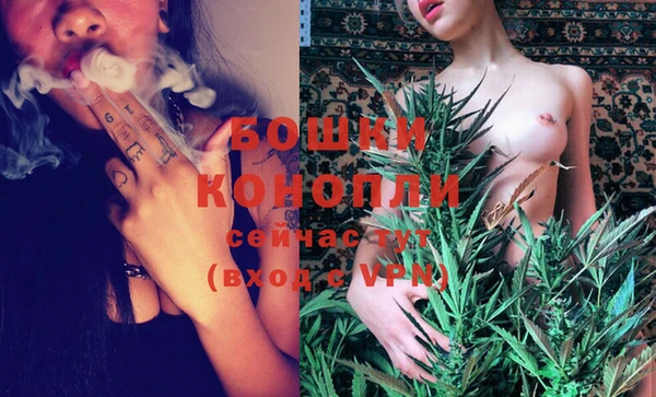 кокс Белокуриха