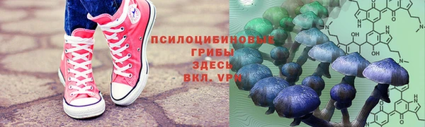 кокс Белокуриха