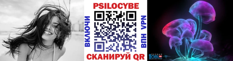 Псилоцибиновые грибы мицелий  Купить закладки  Симферополь 